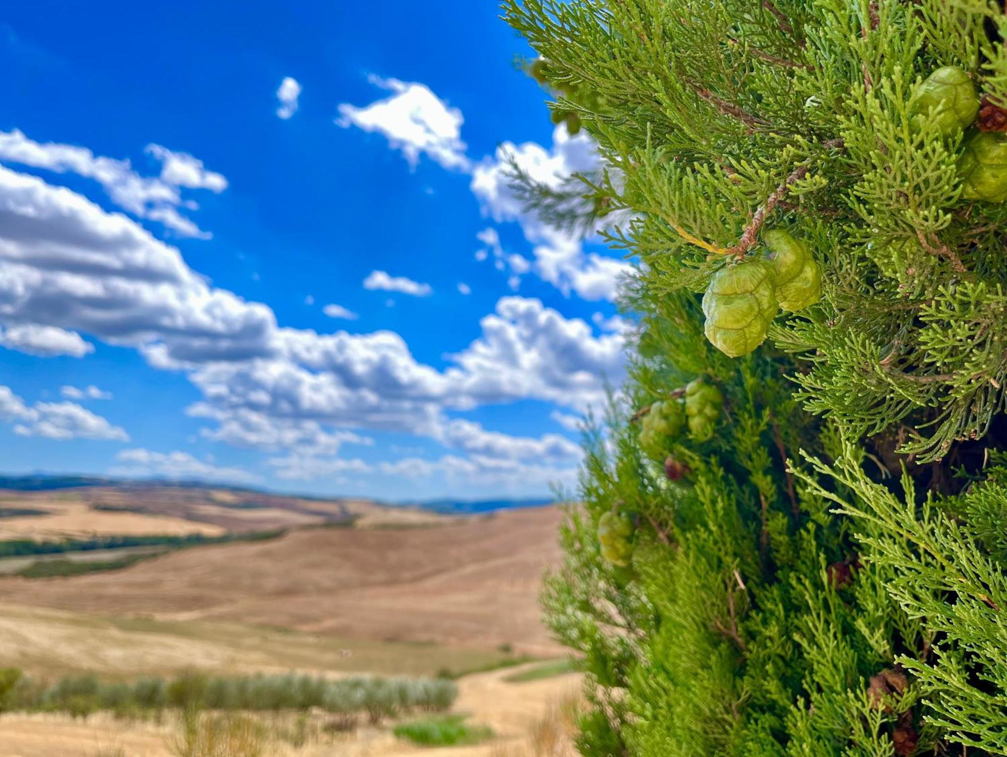Poggiosalto In Toscana Pienza Exteriér fotografie